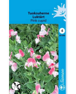 TUOKSUHERNE PINK CUPID SIEMEN Main Image