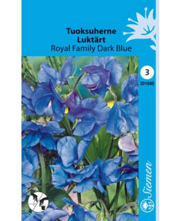 TUOKSUHERNE ROYAL FAMILY DARK BLU SIEMEN Main Image