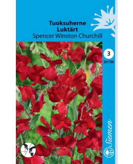 TUOKSUHERNE SPENCER WINSTON CHURCHIL Main Image
