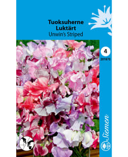 TUOKSUHERNE UNWIN'S STRIPED Main Image