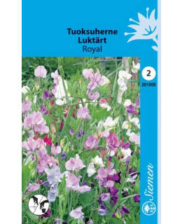 TUOKSUHERNE ROYAL SEKOITE SIEMEN Main Image