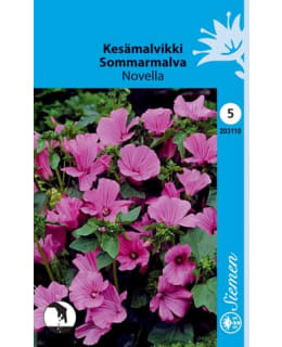 KESÄMALVIKKI NOVELLA SIEMEN Main Image