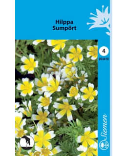 HILPPA VALKO-KELTAINEN 15 CM SIEMEN Main Image