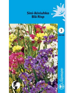 SINI-IKIVIUHKO SEKOITE SIEMEN Main Image