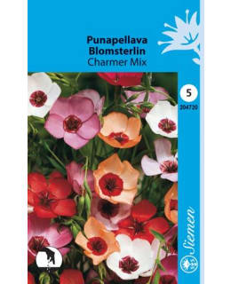 PUNAPELLAVA CHARMER MIX  SIEMEN Main Image