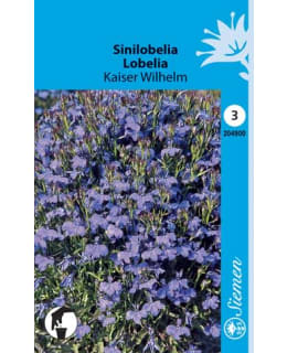 SINILOBELIA  KAISER WILHELM  SIEMEN Main Image