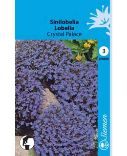 SINILOBELIA  CRYSTAL PALACE  SIEMEN Main Image