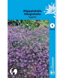 FI:RIIPPALOBELIA "PENDULA SAPHIR" Main Image