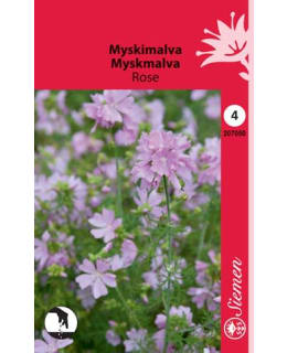 MYSKIMALVA ROSE Main Image