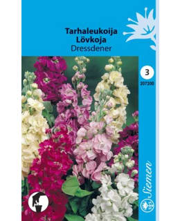 FI:TARHALEUKOIJA "DRESSDENER" Main Image