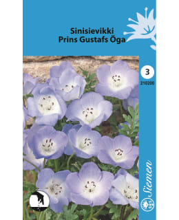 SINISIEVIKKI SIEMEN Main Image