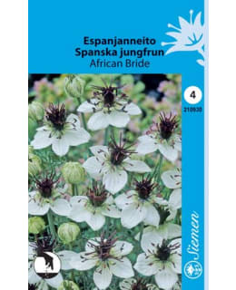 ESPANJANNEITO AFRICAN BRIDE SIEMEN Main Image