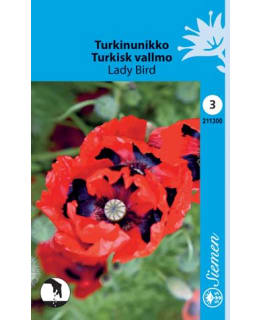 FI:TURKINUNIKKO Main Image