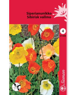 SIPERIANUNIKKO SEKOITE  SIEMEN Main Image