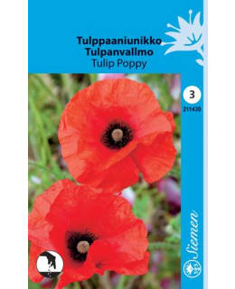 FI:TULPPAANIUNIKKO Main Image