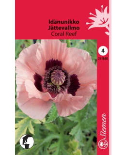 FI:IDÄNUNIKKO VAALPUN Main Image