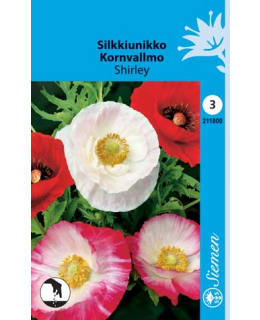 SILKKIUNIKKO SHIRLEY SIEMEN Main Image