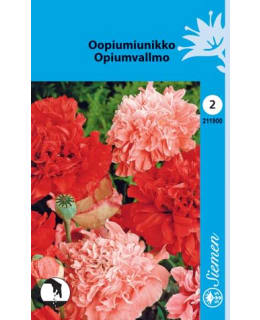 OOPIUMUNIKKO SEKOITE SIEMEN Main Image