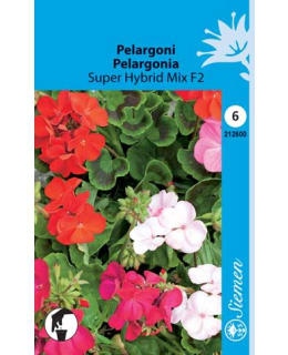 PELARGONI SUPER HYBRID MIX F2 SIEMEN Main Image