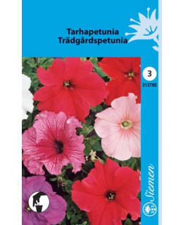 TARHAPETUNIA SEKOITE SIEMEN Main Image