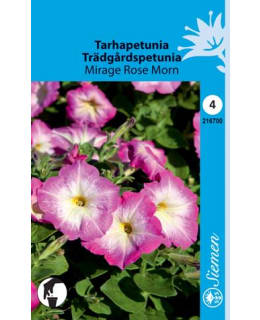 TARHAPETUNIA MIRAGE ROSE MORN  SIEMEN Main Image