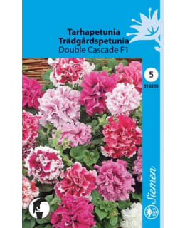 FI:TARHAPETUNIA DOUBLE CASCADE Main Image