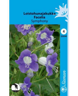 LOISTOHUNAJAKUKKA SYMPHONY SIEMEN Main Image
