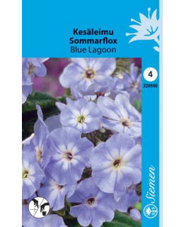 KESÄLEIMU SINIVALKOISET KUKAT Main Image
