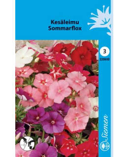 FI:KESÄLEIMU SEKOITE Main Image