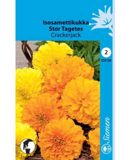 ISOSAMETTIKUKKA CRACKERJACK  SIEMEN Main Image