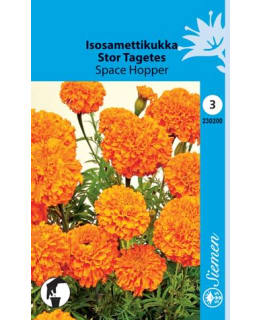 ISOSAMETTIKUKKA SPACE HOPPER Main Image