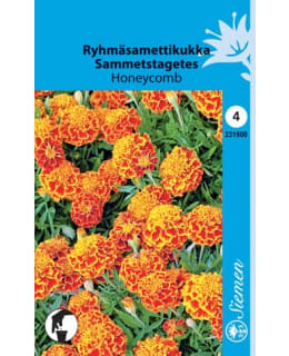 FI:SAMETTIKUKKA "HONEYCOMB" Main Image