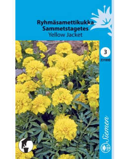 RYHMÄSAMETTIKUKKA "YELLOW JACKET" SIEMEN Main Image