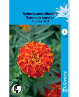 FI:KÄÄPIÖSAMETTIKUKKA Main Image