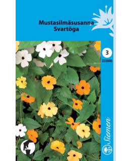 FI:MUSTASILMÄSUSANNA SEKOITE Main Image