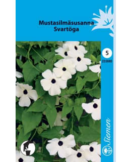 MUSTASILMÄSUSANNA VALKOINEN Main Image