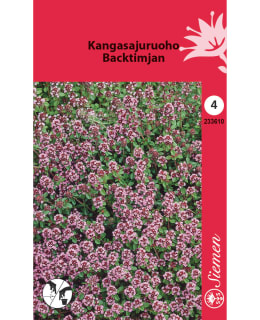 CREEPING THYME Main Image