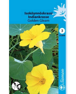 ISOKÖYNNÖSKRASSI GOLDEN GLEAM Main Image