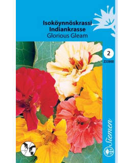 ISOKÖYNNÖSKRASSI GLORIOUS GLEAM SIEMEN Main Image