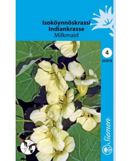 ISOKÖYNNÖSKRASSI MILKMAID SIEMEN Main Image