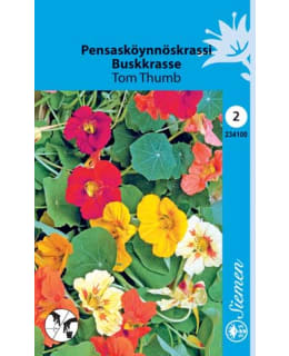 FI:PENSASKRASSI "TOM TUMB" Main Image