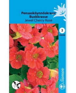 FI:PENSASKÖYNNÖSKRASSI Main Image