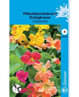 PIKKUKÖYNNÖSKRASSI CASTANETS  SIEMEN Main Image