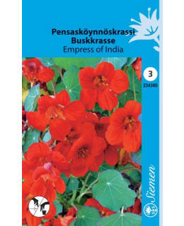 PENSASKÖYNKRASSI EMPRESS OF INDIA SIEMEN Main Image