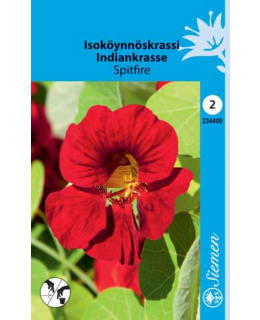 ISOKÖYNNÖSKRASSI  SPITFIRE  SIEMEN Main Image