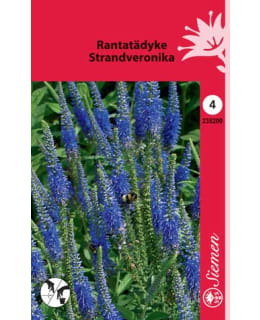 FI:RANTATÄDYKE Main Image