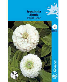 ISOTSINNIA POLAR BEAR Main Image