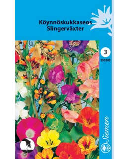 FI:KÖYNNÖSKUKKASEOS Main Image