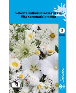 KESÄKUKKASEOS VALKOISIA KUKKIA SIEMEN Main Image