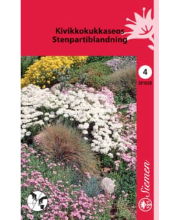 KIVIKKOKUKKASEOS  SIEMEN Main Image